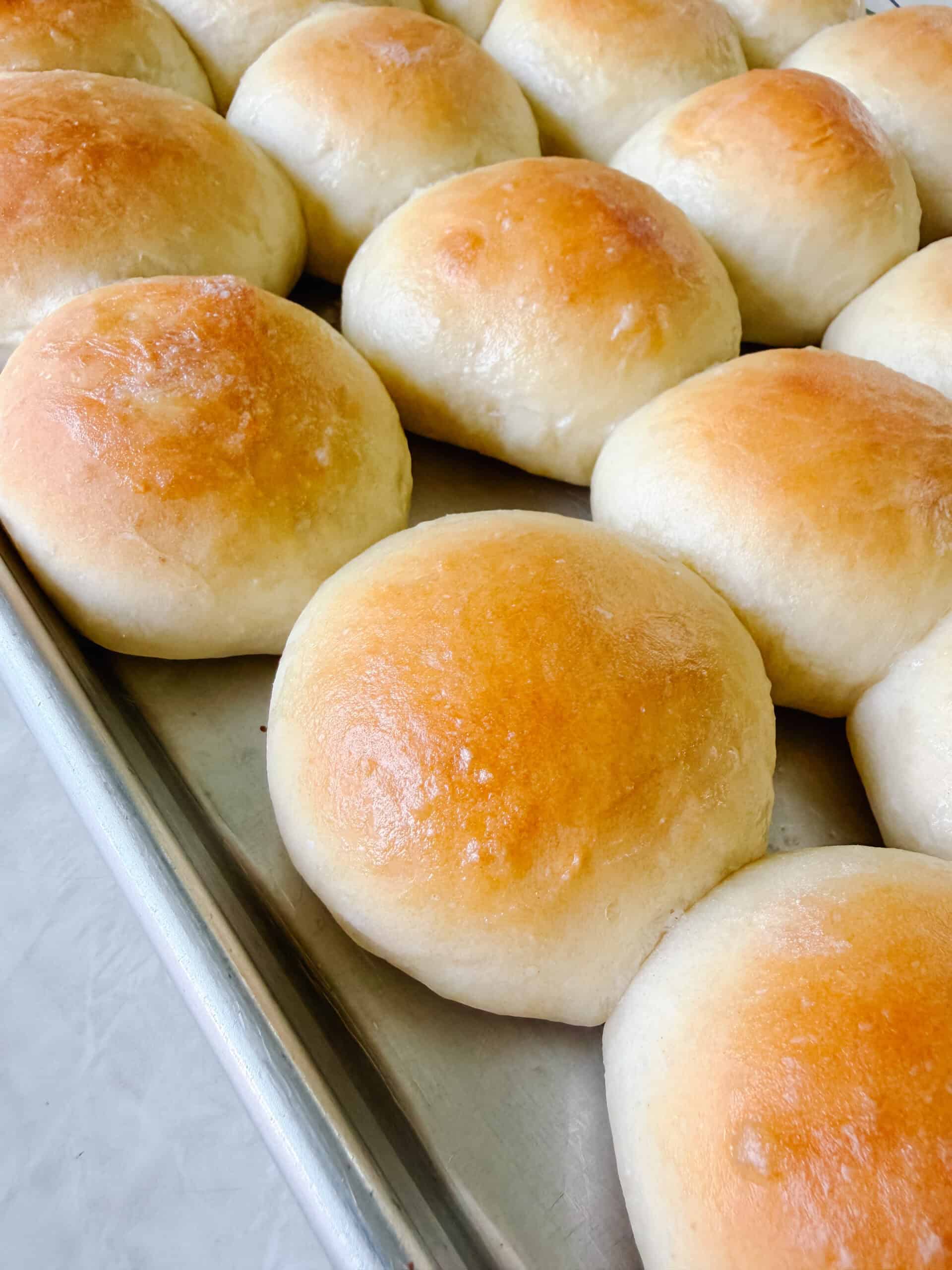 Baked rolls on pan.