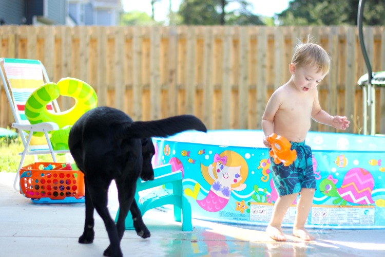 toddler and dog playing in the backyard