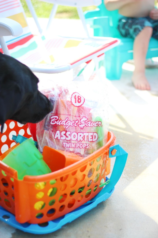 backyard activities for kids: basket with sand toys and bag of twin pops