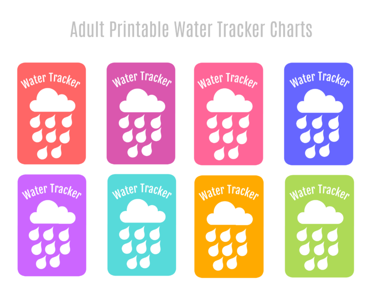 Holiday Hydration Tracker