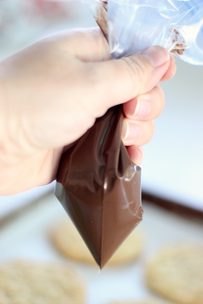 frosting bag with melted chocolate