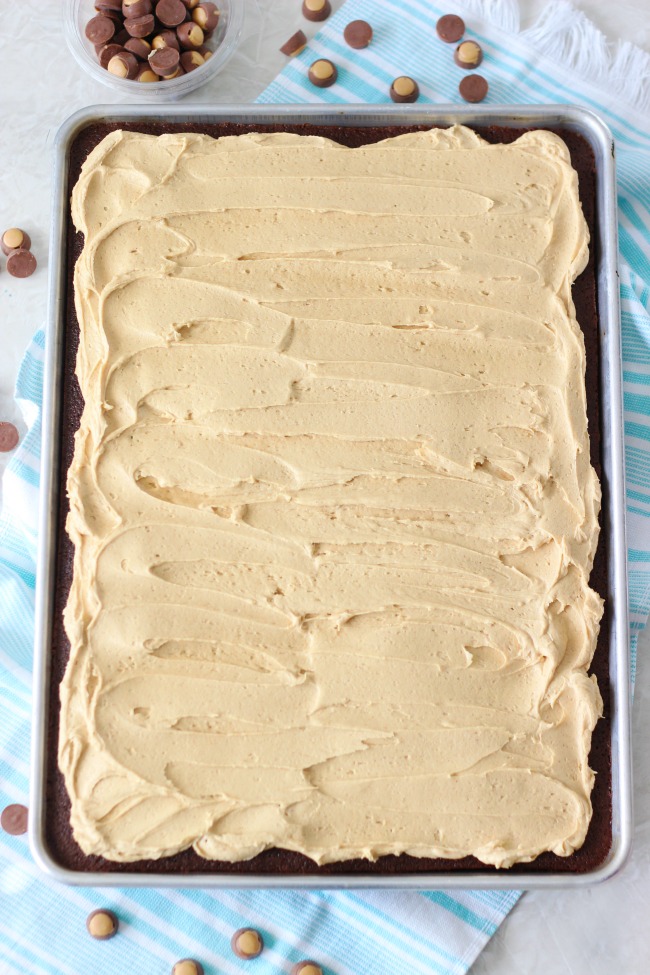frosted chocolate peanut butter sheet cake