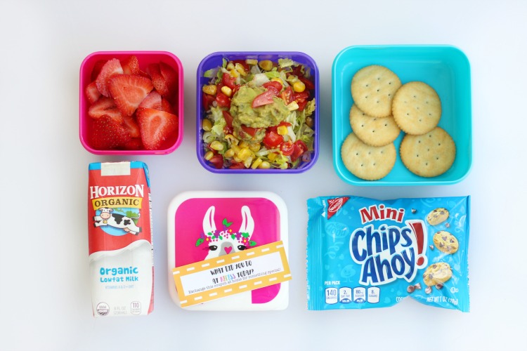 sandwich free lunch ideas for kids: Mexican layered dip finished and styled