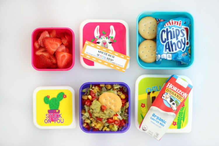 open lunch containers with crackers, strawberries, milk and Mexican layered dip