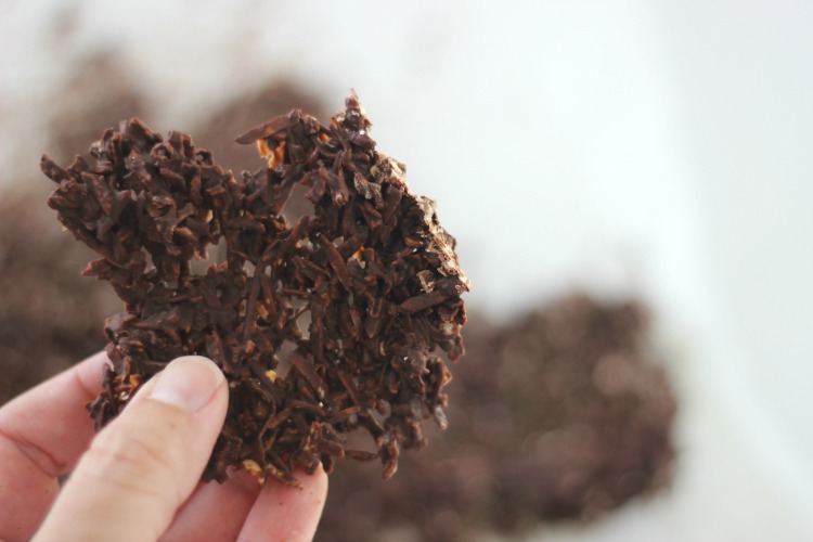 hand holding piece of chocolate covered toasted coconut