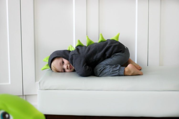 toddler dinosaur hoodie