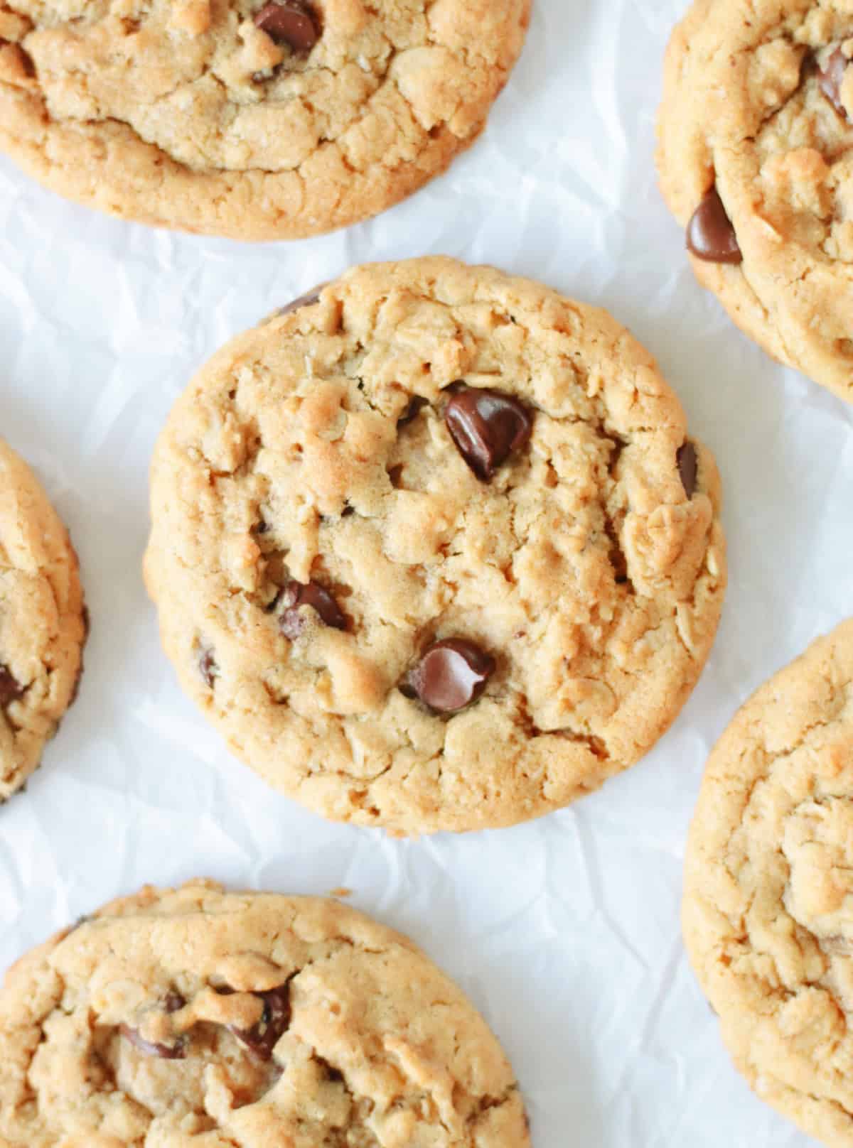 Chewy oatmeal chocolate chip cookies on parchment paper.