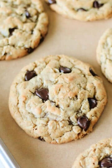 Baking sheet of oatmeal chocolate chip cookies on baking sheet with parchment paper.