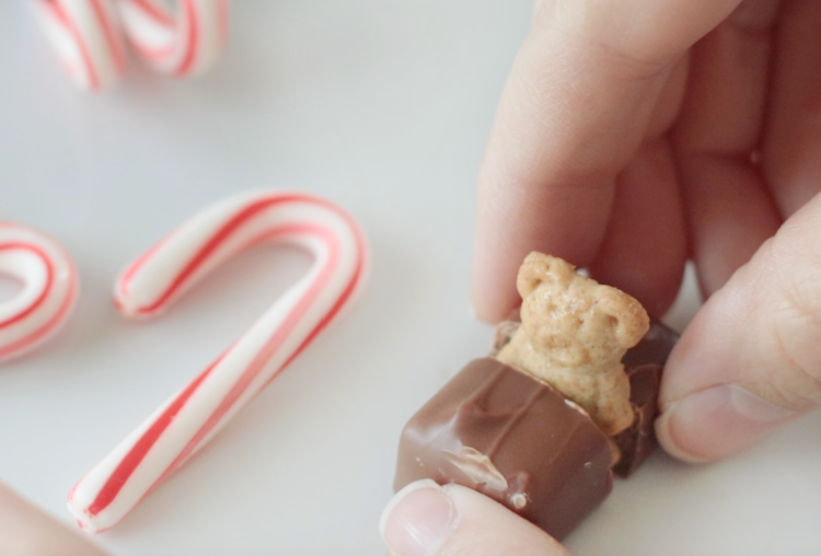 candy bar cut in half with teddy graham