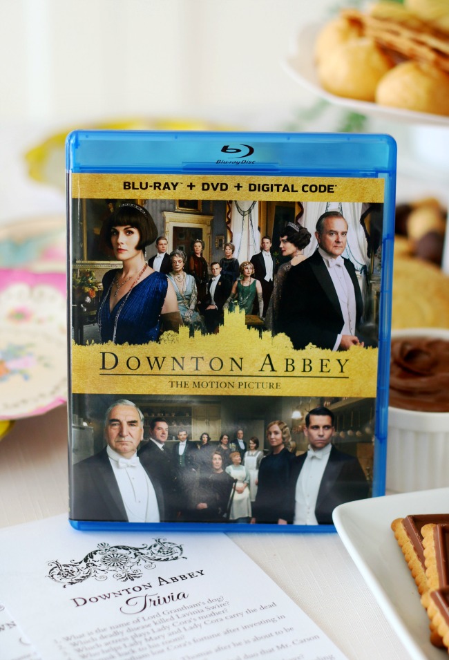 copy of downton abbey dvd for movie night