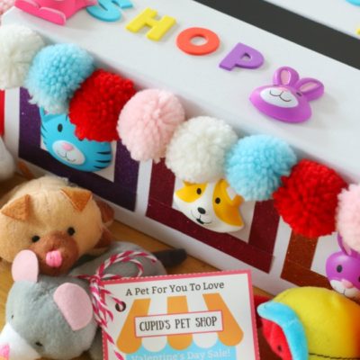 pet shop valentine box with printable valentines