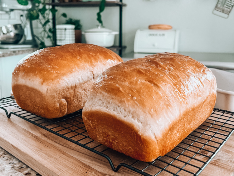 two loaves of baked amish white bread