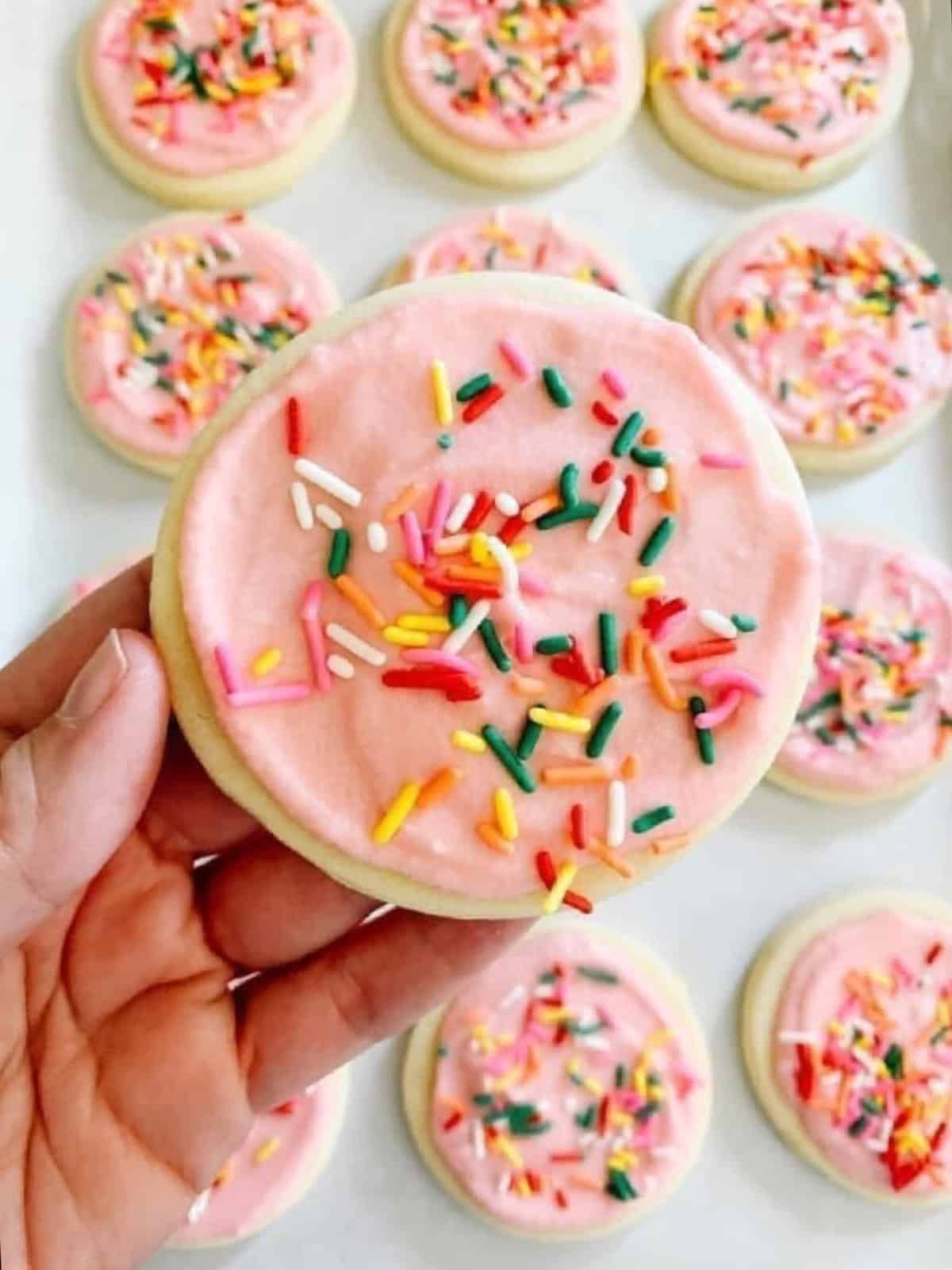 Hand holding sugar cookie with pink icing and rainbow sprinkles.