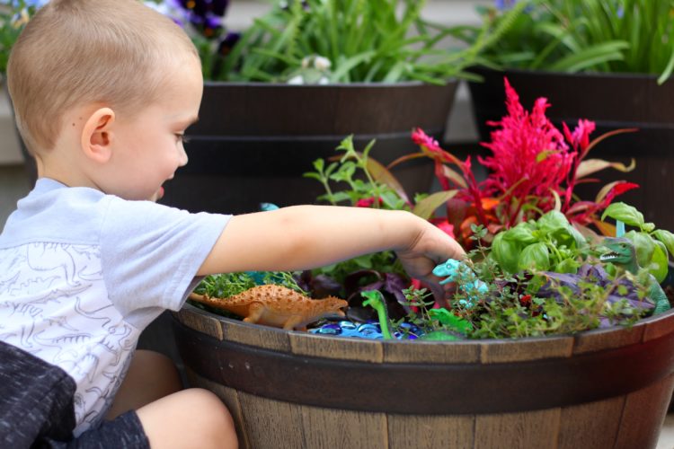 toddler playing with dinosaur garden