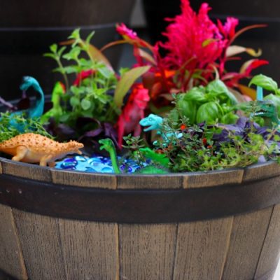 barrel with finished dinosaur garden