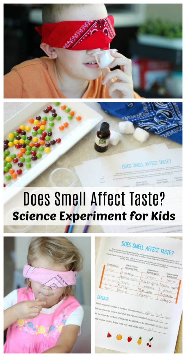 how does smell affect taste project