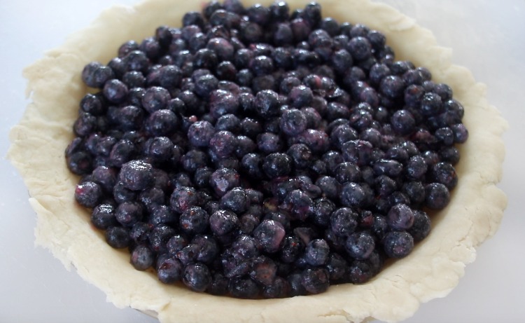 blueberry filling in pie crust