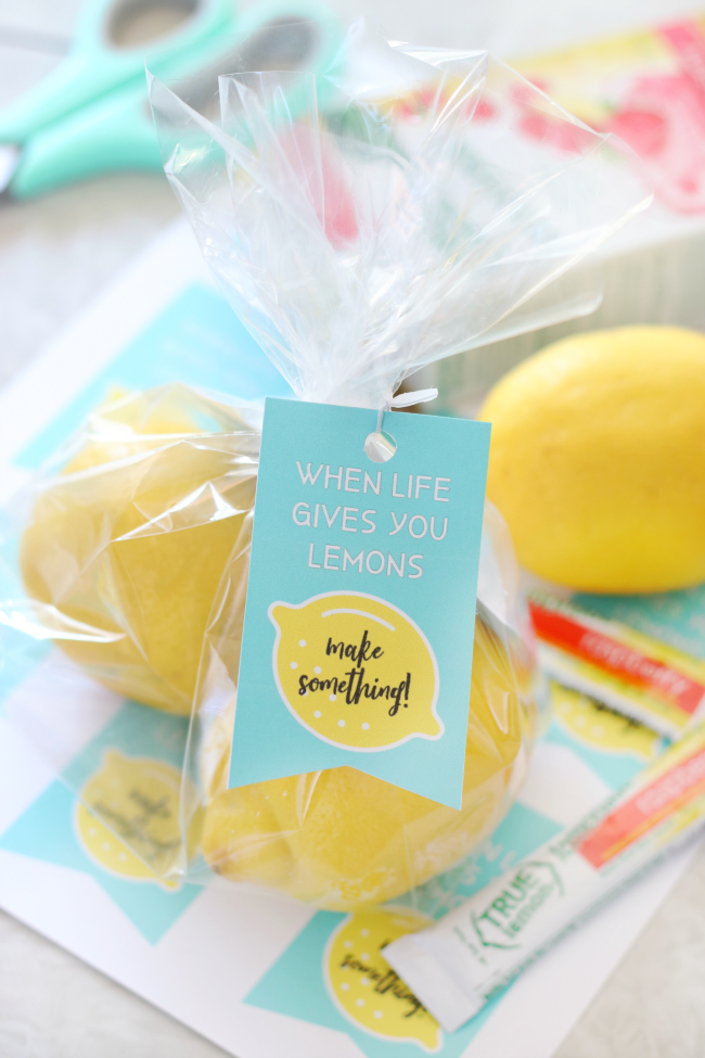 two lemons in plastic bag with tag attached