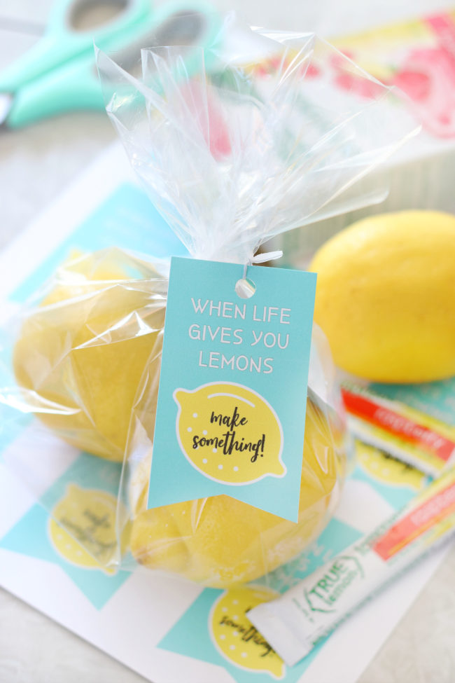 https://gluesticksblog.com/wp-content/uploads/2020/07/when-life-gives-you-lemons.png