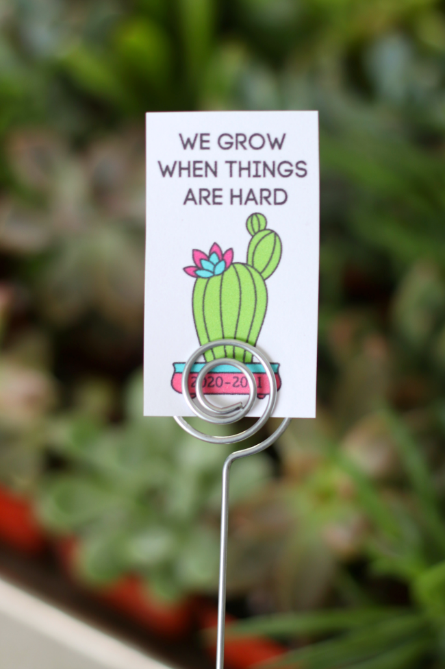 wire pick with tag for succulent gift