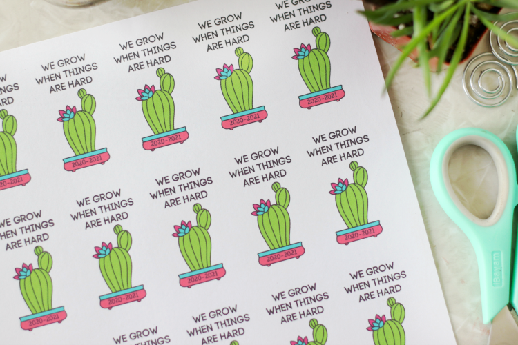 succulent printable