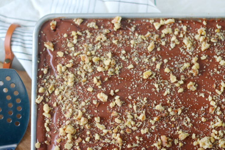 texas sheet cake with frosting and nuts