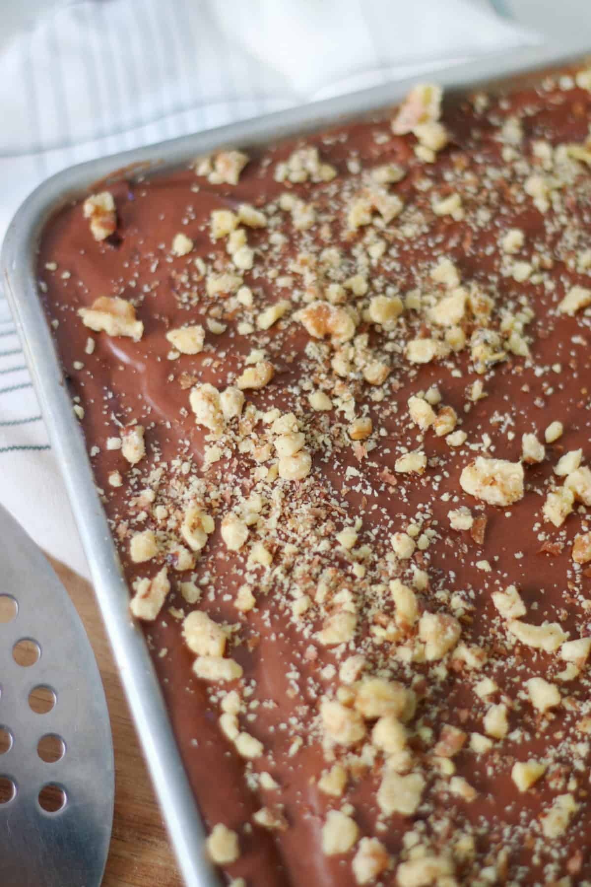 Sheet pan of classic chocolate Texas sheet cake frosted and sprinkled with nuts.