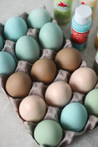 one dozen painted wooden eggs