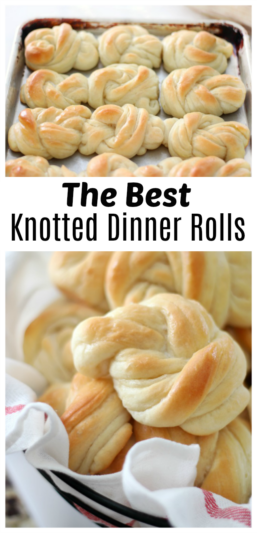 The Best Knotted Dinner Rolls (Video) - Gluesticks Blog