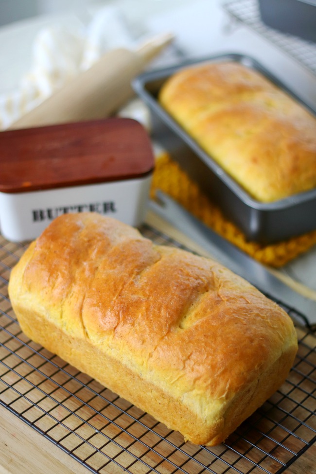 loaf of pumpkin cinnamon swirl bread