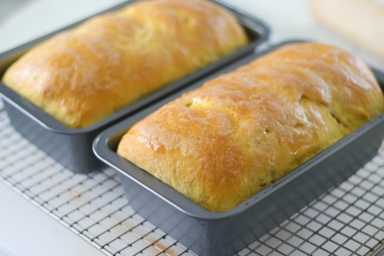 two loaves of pumpkin bread in pans