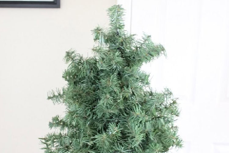 Evergreen wire wrapped around tomato cage.