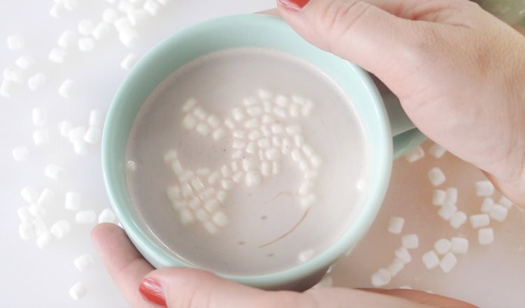 hands holding mug of hot chocolate