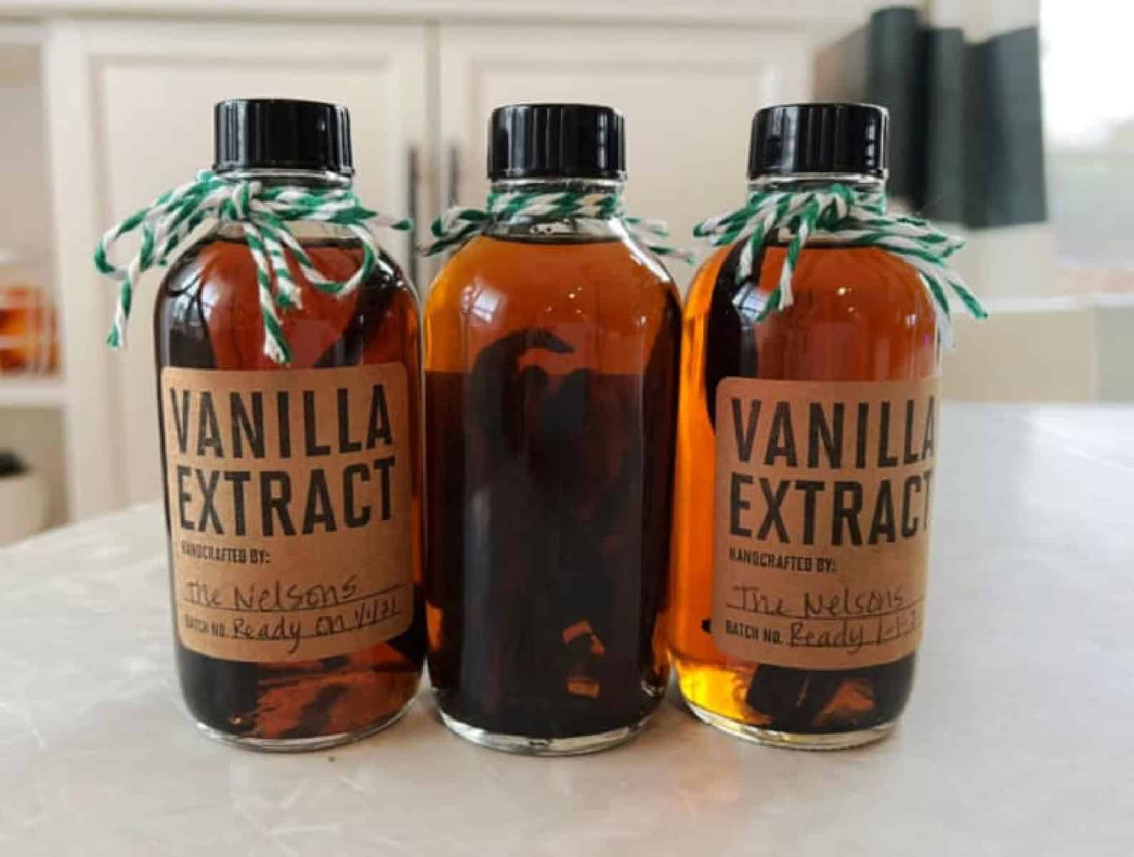 Three bottles of vanilla extract with green ribbon tied around the lid.