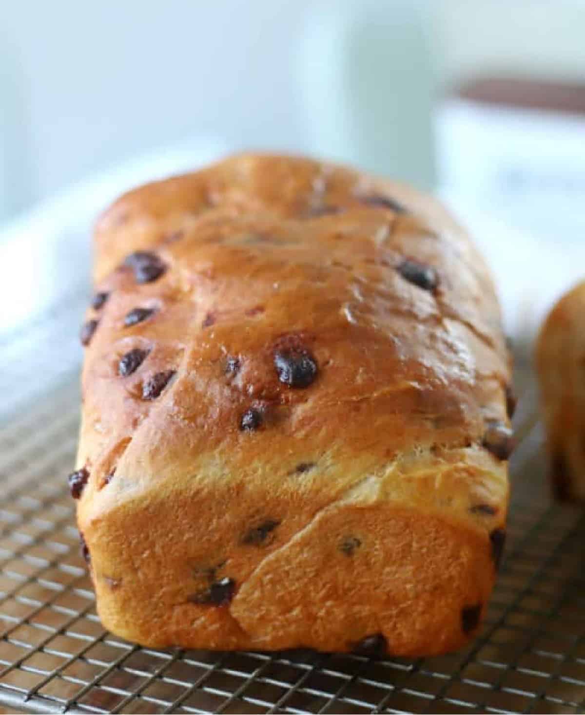 Loaf of cinnamon chip bread on cooling rack.