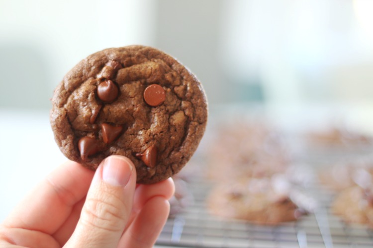 hand holding double chocolate chip cookie