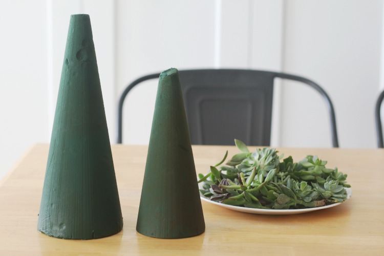 two floral foam wet cones