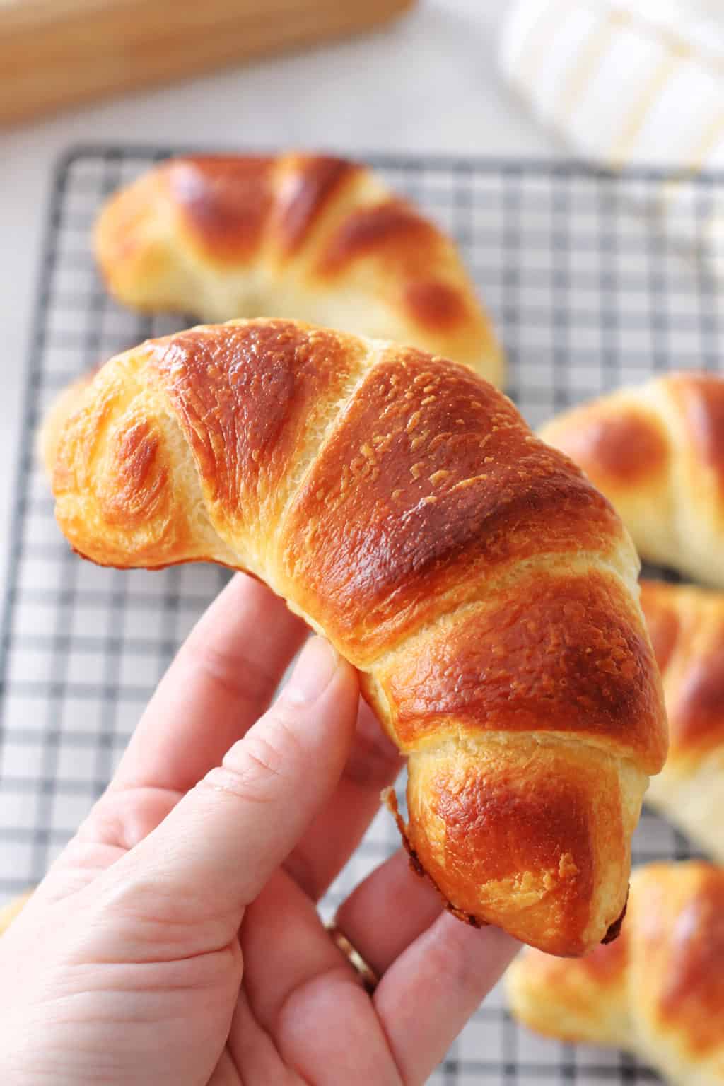 Hand holding croissant.