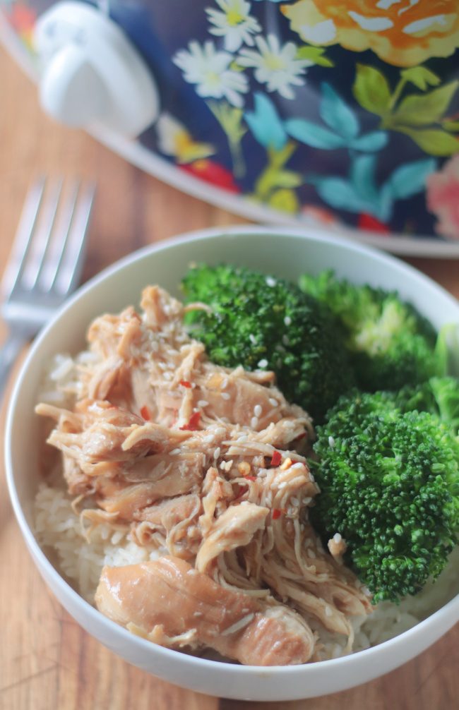 bowl of rice and chicken teriyaki with broccoli