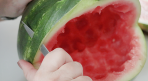 carving mouth of watermelon shark