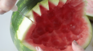 knife cutting shark teeth from watermelon