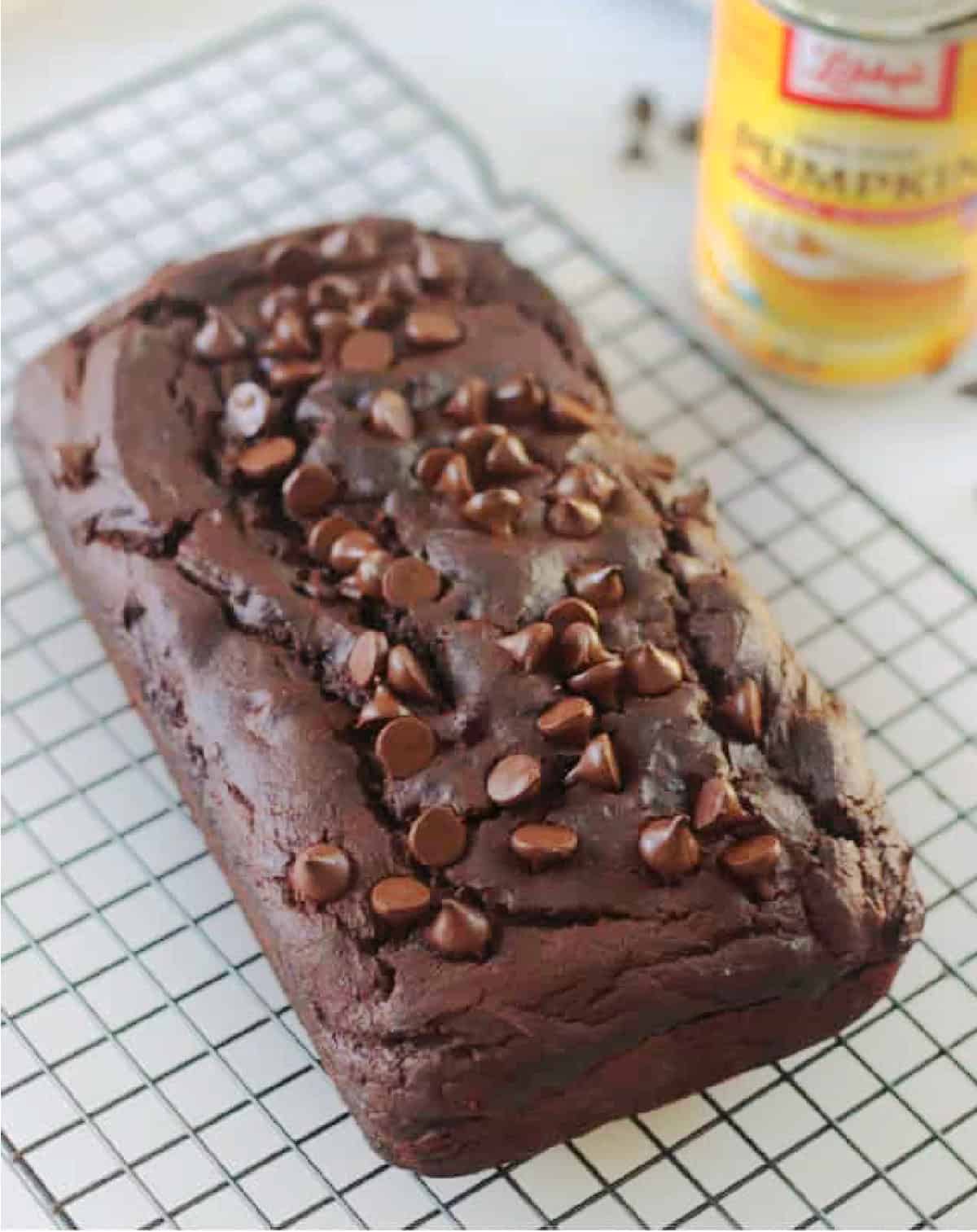 Loaf of chocolate pumpkin bread on cooling rack.