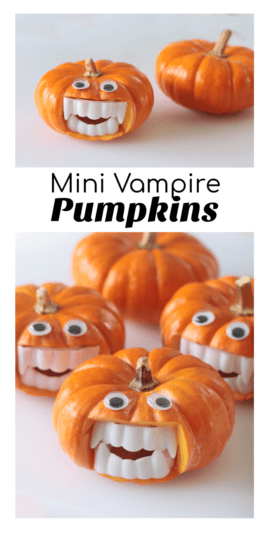 Little Vampire Pumpkins for Halloween (Video) - Gluesticks Blog