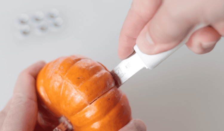 pumpkin cut with knife