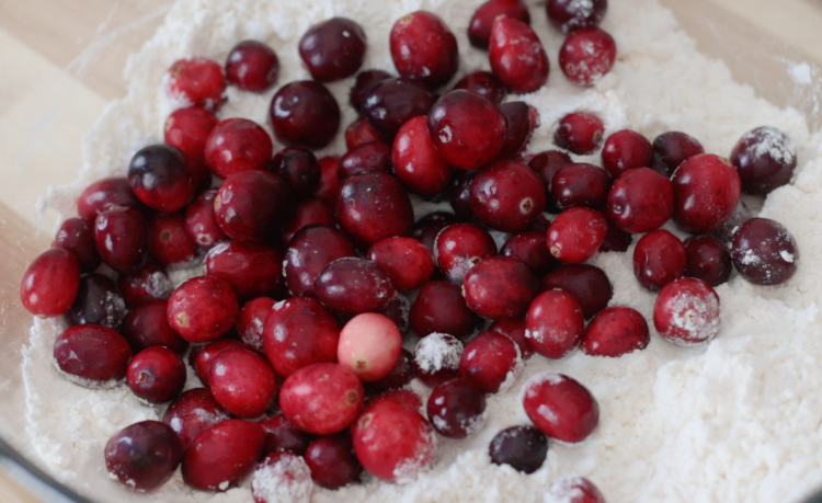 fresh cranberries in bowl with dry ingredients