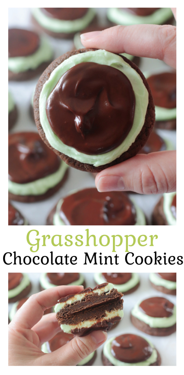 hand holding chocolate mint cookies