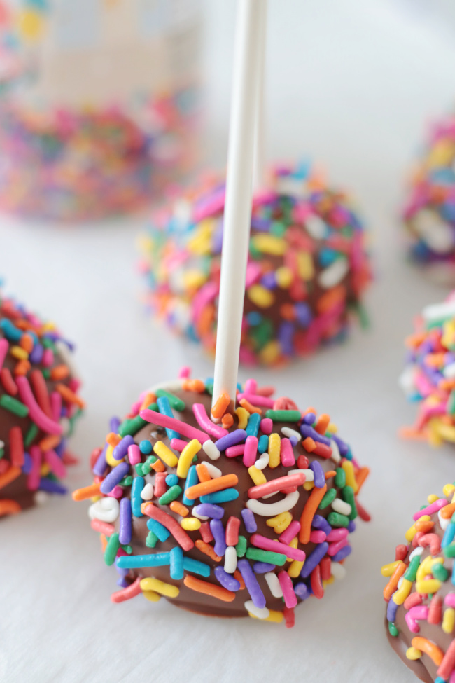 brownie cake pop with lollipop stick and rolled in sprinkles