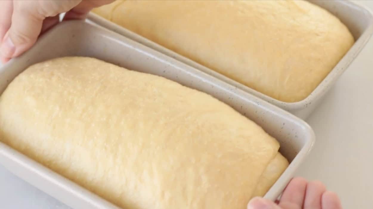Two loaf pans with bread loaves rising.