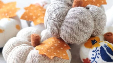 Pile of sock pumpkins.