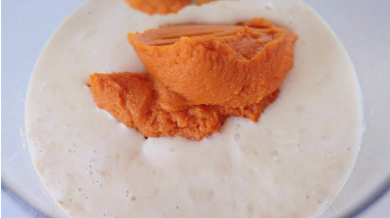Yeast, water and sugar mixture with pureed pumpkin in large mixing bowl.